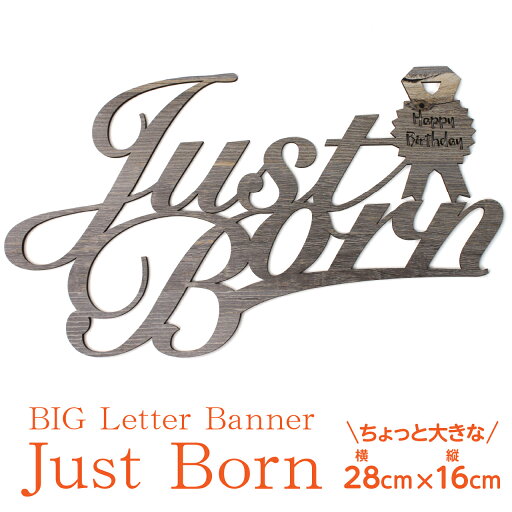 木製 レターバナー Just Born Birthday ジャストボーン ニューボーンフォト 誕生日 お祝い 寝相アート 飾り付け 記念 出産祝い ウッド 100日 月齢フォト インスタ映え ベビー 赤ちゃん 誕生 新生児 大きいサイズ 木製 レターバナー Just Born Birthday ジャストボーン ニューボーンフォト 誕生日 お祝い 寝相アート 飾り付け 記念 出産祝い ウッド 100日 月齢フォト インスタ映え ベビー 赤ちゃん 誕生 新生児 大きいサイズ