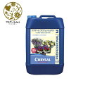 生花水揚げ促進剤 クリザール プロフェショナル 25L 希釈100倍 167-3021-0 花 お花 花資材 お花資材 延命剤 切り花栄養剤 開花促進 ビタミン...