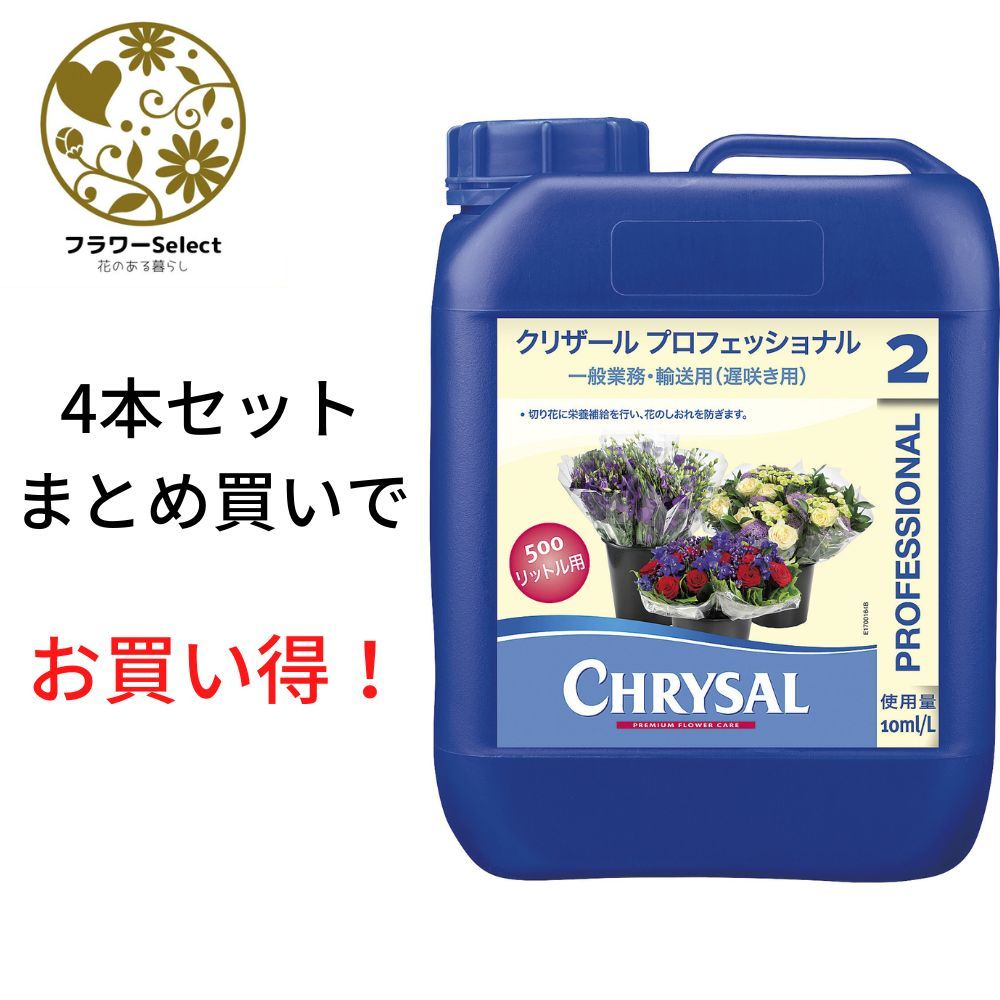 送料無料 生花水揚げ促進剤 クリザール プロフェッショナル5L 4個セット 5％OFFの商品になります。送料無料 生花水揚げ促進剤 クリザール プロフェッショナル5L 4個セット 5％OFFの商品になります。