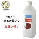 生花水揚げ促進剤 フラワーベールBA+ 2L 6個セット 167-2025-0 花 お花 花資材 お花資材 延命剤 切り花栄養剤 開花促進 5%OFF ビタミン