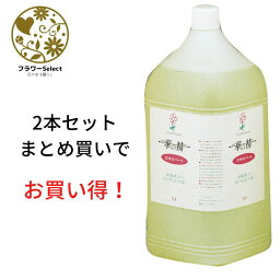 生花水揚げ促進剤 華の精 エキスパート 5L 2個セット 167-2062-0 花 お花 花資材 お花資材 延命剤 切り花栄養剤 開花促進 5％OFF ビタミン