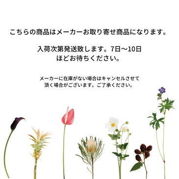 押し花 クリサンセマム レッド 1袋（16輪） 197-2002-色 草花を乾燥させ押し花に加工したものです。 ハンドメイド素材 ハンドメイド デコ電 スマホケース 花 ドライ アクセサリーネイルアート等 ビタミンF