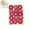 押し花 ミニバラ ローズピンク1袋（15輪） 197-2007-26 草花を乾燥させ押し花に加工したものです。 ハンドメイド素材 ハンドメイド デコ電 スマホケース 花 ドライ アクセサリーネイルアート等 ビタミンF