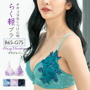 Hazy Vacation 〜 ヘイジ—バケーション 〜 ブラジャー フラン レディース 下着 ブラジャー 単品 ブラ ブラジャー 大きいサイズ 軽...