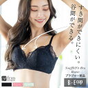 ブラジャー ブラ レディース 下着 ワイヤー 女性 下着 ブラジャー単品 40代 高校生 ランジェリー かわいい セクシー レディースブラジャー フランデランジ...