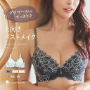 \本日 P5倍/ ブラジャー ブラ レディース 下着 小胸 40代 30代 50代 高校正 かわいい セクシー 大きいサイズ 単品ブラジャー フランデランジェリ...