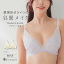ブラジャー ブラ レディース 下着 谷間 育乳ブラ 小胸 40代 30代 50代 高校正 脇肉 かわいい セクシー 大きいサイズ 盛れる 単品ブラジャー フランデランジェリー wf006b251d ワンダーリフトブラ 006 ブラジャー(ワイヤー有り)
