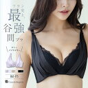 ＼本日全品ポイント10倍／ ノンワイヤー ブラジャー ノンワイヤーブラ ノンワイヤーブラジャー 谷間 育乳ブラ 小胸 40代 30代 高校生 ランジェリー かわいい セクシー 単品ブラジャー dm002b241a ドラマティカルブラ002 ブラジャー（ワイヤー無し）