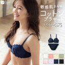 コットンブラジャー ブラジャー ショーツ セット コットン 綿 ブラ&ショーツ BCDEFG ブラセット ブラショー...