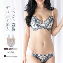 ブラジャー ショーツ セット 下着 レディース ブラジャーセット ブラセット 女性 上下セット セクシー かわいい インナーセット 谷間 育乳 脇肉 盛れる フ...