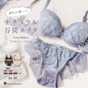 ブラジャー ショーツ セット 下着 レディース ブラジャーセット ブラセット 女性 上下セット セクシー かわいい インナーセット 谷間 育乳 脇肉 盛れる フ...