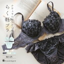 ブラジャー ショーツ セット 下着 レディース ブラジャーセット ブラセット 女性 上下セット セクシー かわいい 谷間 フランデランジェリー nd002p244c ナチュラルデイリーブラ002 ペアブラジャー(ワイヤー有り)