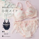 ブラジャー ショーツ セット 下着 レディース ブラジャーセット ブラセット 女性 上下セット セクシー かわいい インナーセット フランデランジェリー wf0...