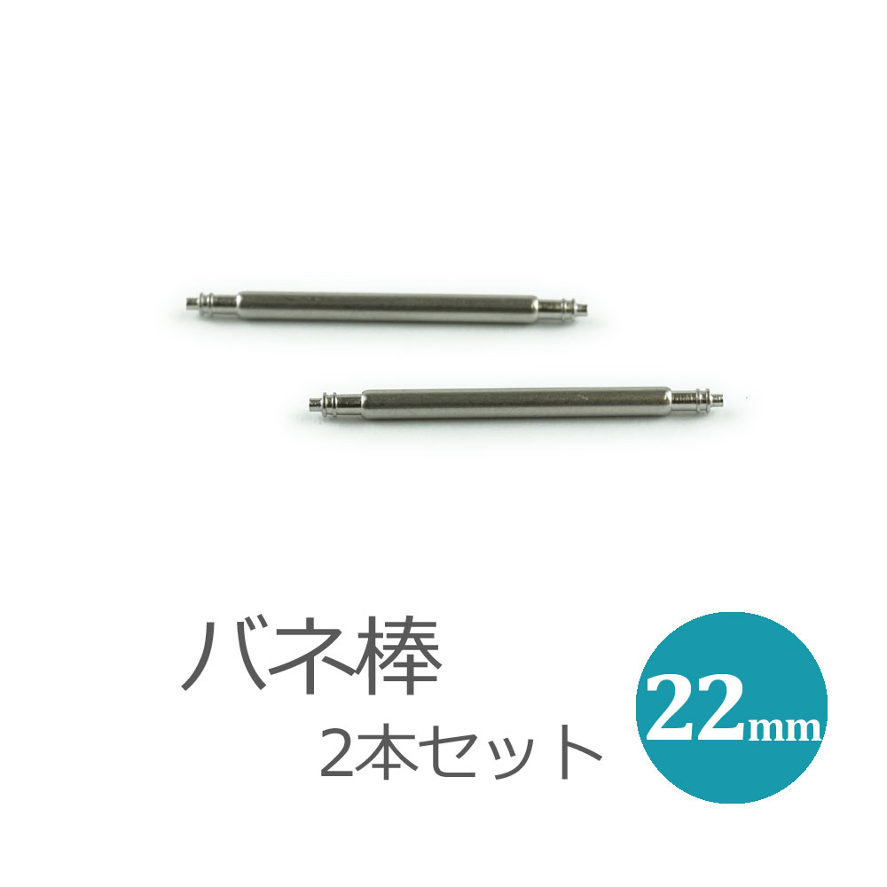 時計用 ベルト用部品 ばね棒 バネ棒 2本セット 22mmベルト用