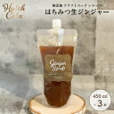 Hatch Cola クラフトコーラ シロップ【はちみつ生ジンジャーシロップ×3本】パウチL (450ml) ノンカフェイン 無添加 白砂糖不使用 スパイス /...