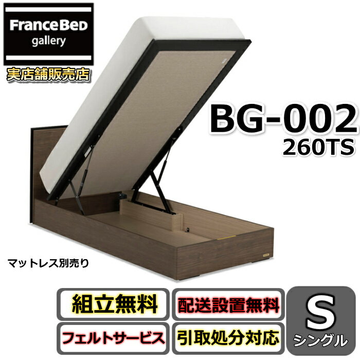 フランスベッド BG-002 260TS シングル【開梱組み立て設置無料】跳ね上げベッド充電可能な コンセント付き(3)