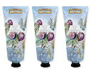 【正規品】フラゴナール ハンドクリーム ボードプロバンス 75mL 3本セット ハンドケア ネイルケア 乾燥対策 保湿 潤い うるおい お出かけ デート ごほうび 癒し 友だち シェア プレゼント プチプレゼント ギフト プチギフト 誕生日 バースデー お礼 フランス 送料無料(4)