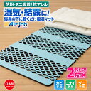 期間限定セール 2個セット すのこマット 除湿マット シングル 結露 結露対策 すのこ型除湿マット 花粉 ダニ すのこ型吸湿マット エアジョブ マックス 東洋紡...