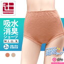 2枚組 吸水ショーツ 20cc レースショーツ 母の日 敬老 女性用 スタイルセレブリティ 吸水消臭ショーツ 東洋紡の吸水性繊維ランシール使用 おしゃれ 尿漏れ...