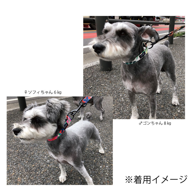 フリーク OUTDOOR&SUP&SNOWのリーズドッグサプライ LEEDS DOG SUPPLY LUAUドッグ 胴輪 ハーネス ペット用品 犬 リーシュ リード Sサイズ｜アングル2