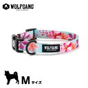 ウルフギャング マンアンドビースト WOLFGANGS MAN＆BEAST DigiFloral Collar M サイズ ( ドッグ 胴輪 ハーネス ペット用品 犬 リーシュ リード)