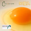 【送料無料】ちよだの卵 Mサイズ90個入(割れ保障8個含む)