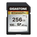 GIGASTONE SDカード 256GB メモリーカード A1 V3...(2)