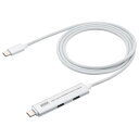 サンワダイレクト USB-Cケーブル USB C ハブ付き PD対応 PD 100W USB3.2 Gen1 USB5Gbps 持ち運び 急速充電 1m シルバー 400-HUBC34S(2)