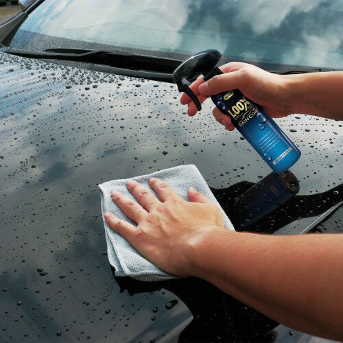 KURE(�⹩��) LOOX(��å���) �쥤�󥳡��� 240ml Ķ�ѵ�����ܥǥ������� 1190