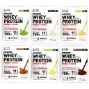 WINZONE(ウィンゾーン)ホエイプロテインお試し 6食セット(プレーン、マイルドチョコ、バナナ、抹茶、パイン、濃厚チョコ) 日本新薬