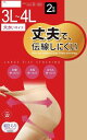 3L 4L ストッキング 2足組 大きいサイズ ゆったり設計 丈夫 伝線しにくい レディース パンスト (ヌーディーベージュ)