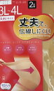 3L 4L ストッキング 2足組 大きいサイズ ゆったり設計 丈夫 伝線しにくい レディース パンスト (テイナ)