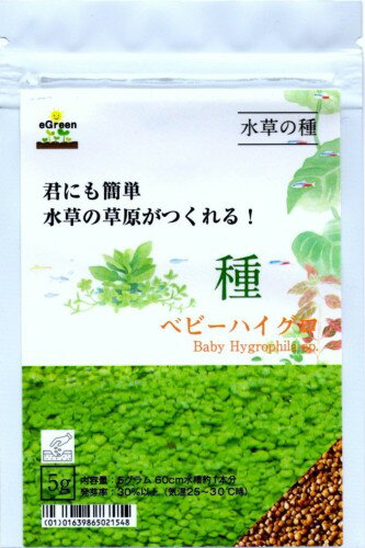 水草の種ベビーハイグロ5g60cm水槽約1本分君にも簡単水草の草原がつくれる!