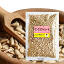 サンフラワーシード ひまわりの種 200g 無添加 食用 アメリカ 食用ひまわりの種 アメリカ製 塩味 塩 味付き