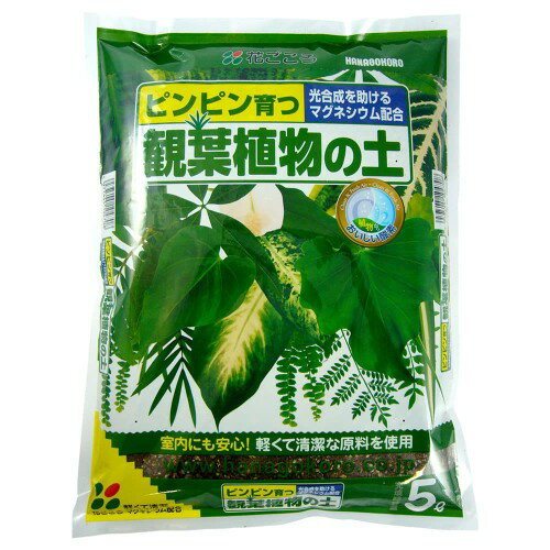 花ごころ 観葉植物の土 マグネシウム配合 5L