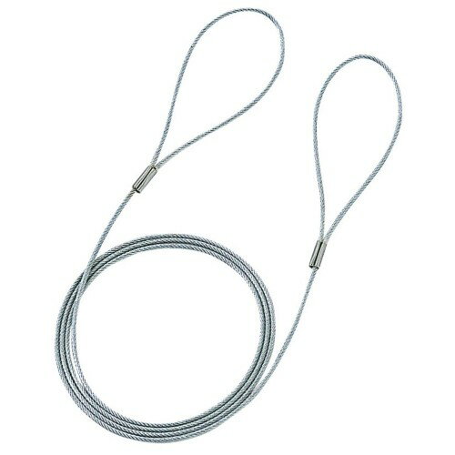 乐天商城 - サンワサプライ eセキュリティ(ワイヤー長1.0m/直径1.6mm) SLE-3W