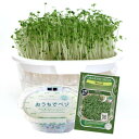 \テレビで紹介されました/ 有機種子 ブロッコリースプラウト 栽培キット(容器1点+種1袋) スプラウト 豆苗 水耕栽培 野菜 育てる 栽培容器 おしゃれ グリーンインテリア 栽培セット 種 園芸 収穫 室内 スプラウト栽培 自由研究