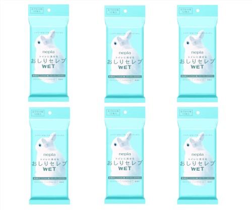 �ͥԥ� �����ꥻ���WET ���Ǥ����� 12��6�ĥ��å�