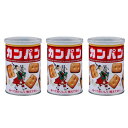 賞味期限 2030年5月末カンパン 缶入り 100g ×3缶 備蓄用 非常食