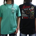 SALEセール!!送料込み7870円→5990円【NORTON(ノートン)メンズ】ウィリージェームス 刺繍 T TEE Tシャツ 半袖 242N1008|FRE...