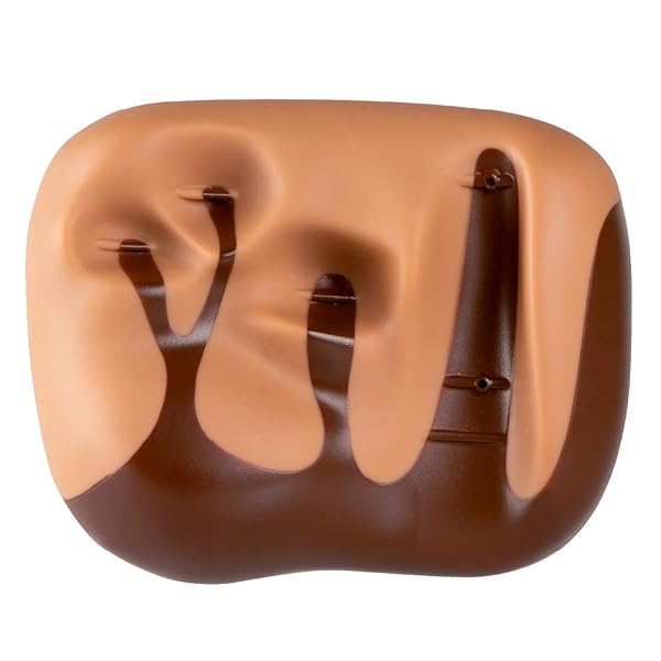 PROIDEA Fコードティーチャー トレーニングツール ブラウン w10.1×d8.2×h5.2cm