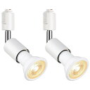 szbritelight ライティングバー用 スポットライト ダクトレールライト e26 電球付き ダクトレール用照明器具 ライティングレール 照明 PAR20...