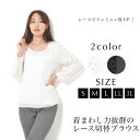 【30日限定 最大15%OFFクーポン】ブラウス S M L LL 3L レディース トップス 長袖 レース 切替え 【最安値に挑戦】 おうちコーデ【メール便】
