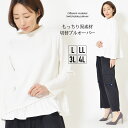 【30日限定 最大15%OFFクーポン】プルオーバー L LL 3L 4L レディース トップス 長そで エニワイズ加工 しっとりなめらか 洗濯機洗い可 ストレ...