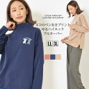 【30日限定 最大15%OFFクーポン】プルオーバー LL 3L レディース トップス 長そで ゆったりシルエット 裏起毛 洗濯機洗い可 ゆるハイネック 長め丈...