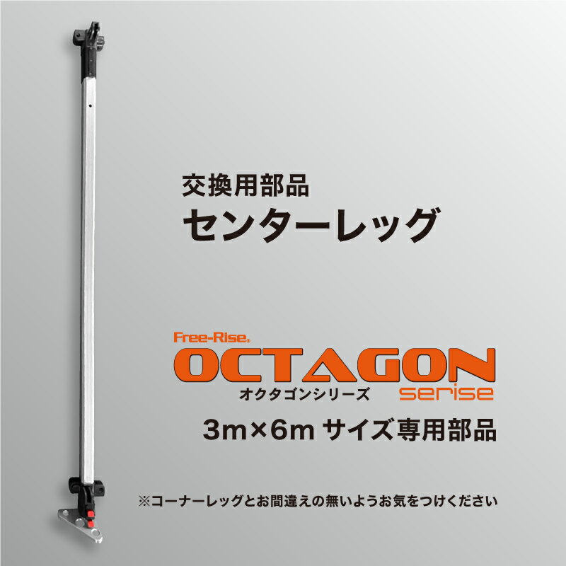 OCTAGON꡼ʡ󥿡åñΡ