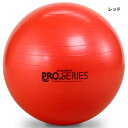 直径55cm ディーアンドエム メンズ レディース ジュニア セラバンド エクササイズボール プロシリーズ バランスボール トレーニング フィットネス レッド ...