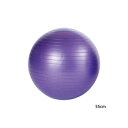 55cm エバニュー メンズ レディース ジュニア ノンバースト バランスボール スポーツ用具 練習 トレーニング 上達 筋トレ 体幹 フィットネス 腹筋 送料...