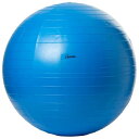 直径65cm トーエイライト メンズ レディース ボディーボール バランスボール ヨガ エクササイズ フィットネス ダイエット 姿勢矯正 体幹トレーニング ブルー 青 送料無料 TOEILIGHT H7262