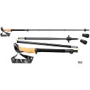 キャラバン メンズ レディース ブラックシリーズ FX カーボン レキ LEKI トレッキングポール ストック 山登り 登山用品 折りたたみ式 ブラック 黒 送...
